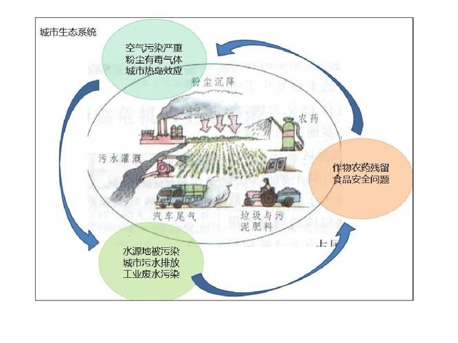 城市生态系统健康