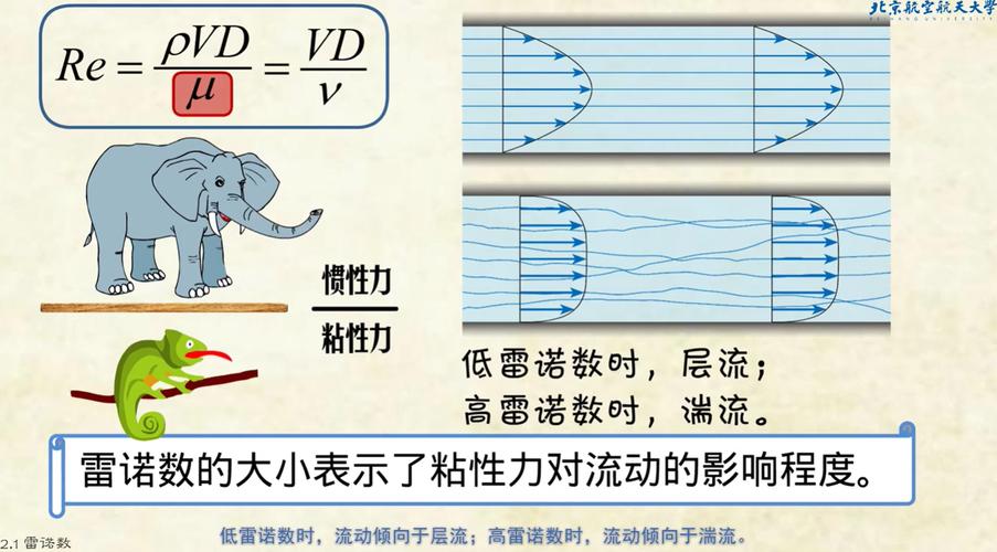 高尔夫力学分析