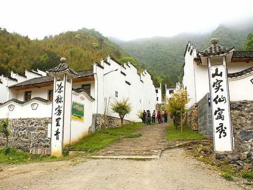 离石区杜家山村：依托安国寺打造康养地