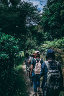 穿越时空的绿意探索，南阳旅游胜地深度指南