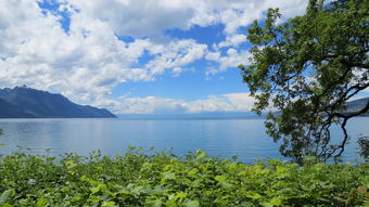 炎炎夏日避暑胜地，7月最佳清凉旅行推荐