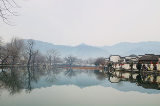 探秘云端仙境，醉美黄山旅行团——一场心灵与自然的深度邂逅