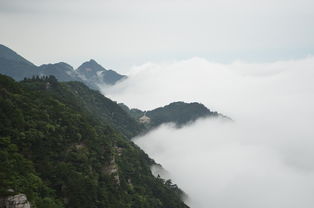 夏日避暑胜地，河南那些凉爽之城的清凉秘籍