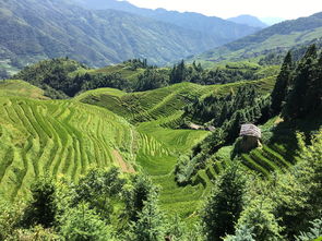 探秘桂林之巅，一窥千峰竞秀的壮丽全景