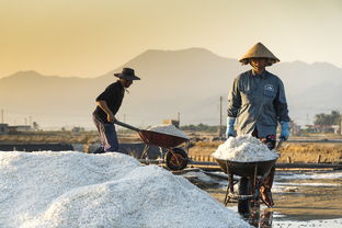 品味人生百态，朋友圈中的情感共鸣